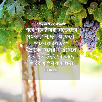 Picture 04 - 1 চমূৱেল 29:1 BENIRV - পরে পলেষ্টীয়রা - Bible Verse Picture