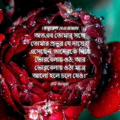 Picture 04 - 1 চমূৱেল 29:10 BENIRV - অতএব তোমার সঙ্গে - Bible Verse Picture