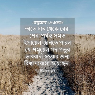 Picture 04 - 1 চমূৱেল 3:20 BENIRV - তাতে দান থেকে - Bible Verse Picture