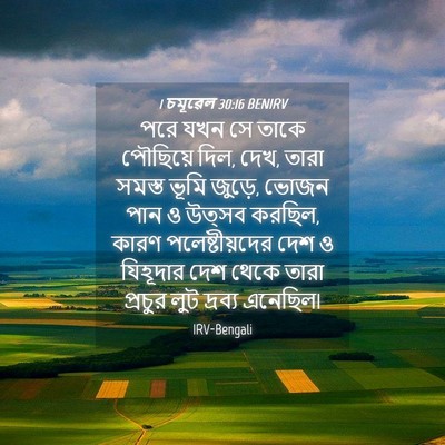Picture 04 - 1 চমূৱেল 30:16 BENIRV - পরে যখন সে তাকে - Bible Verse Picture