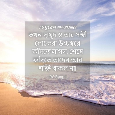 Picture 04 - 1 চমূৱেল 30:4 BENIRV - তখন দায়ূদ ও তার - Bible Verse Picture
