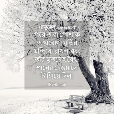 Picture 04 - 1 চমূৱেল 31:10 BENIRV - পরে তারা পোশাক - Bible Verse Picture