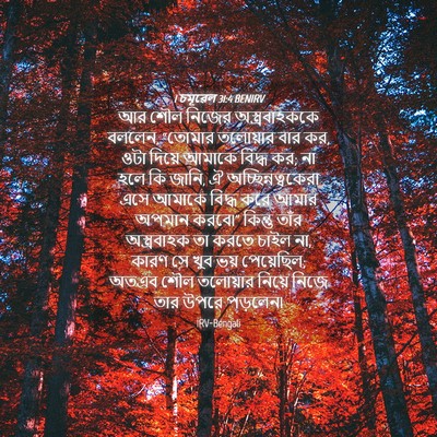 Picture 04 - 1 চমূৱেল 31:4 BENIRV - আর শৌল নিজের - Bible Verse Picture