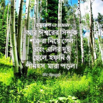 Picture 04 - 1 চমূৱেল 4:11 BENIRV - আর ঈশ্বরের - Bible Verse Picture