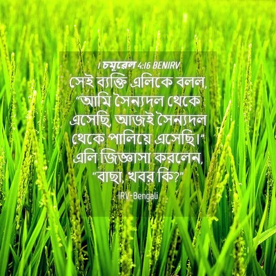 Picture 04 - 1 চমূৱেল 4:16 BENIRV - সেই ব্যক্তি এলিকে - Bible Verse Picture