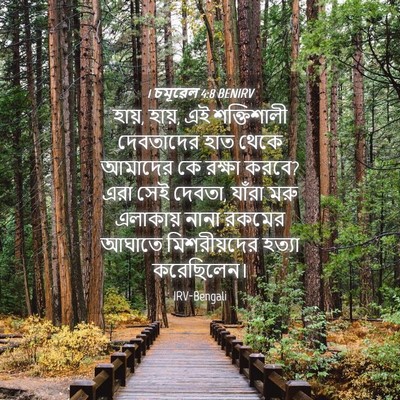 Picture 04 - 1 চমূৱেল 4:8 BENIRV - হায়, হায়, এই - Bible Verse Picture