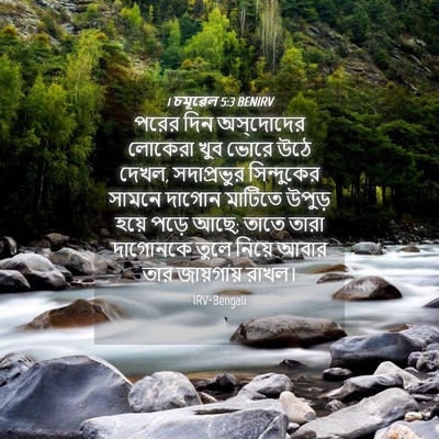 Picture 04 - 1 চমূৱেল 5:3 BENIRV - পরের দিন - Bible Verse Picture