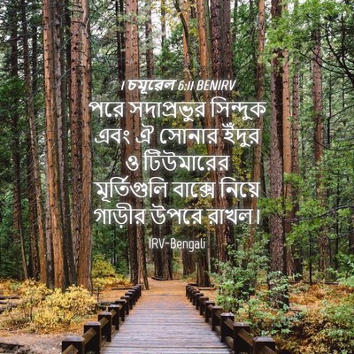 Picture 04 - 1 চমূৱেল 6:11 BENIRV - পরে সদাপ্রভুর - Bible Verse Picture