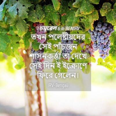 Picture 04 - 1 চমূৱেল 6:16 BENIRV - তখন পলেষ্টীয়দের - Bible Verse Picture