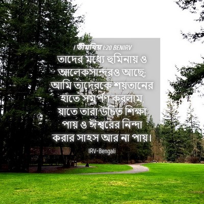 Picture 04 - 1 তীমথিয় 1:20 BENIRV - তাদের মধ্যে - Bible Verse Picture
