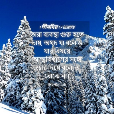 Picture 04 - 1 তীমথিয় 1:7 BENIRV - তারা ব্যবস্থা - Bible Verse Picture