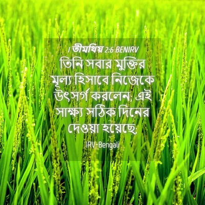 Picture 04 - 1 তীমথিয় 2:6 BENIRV - তিনি সবার মুক্তির - Bible Verse Picture