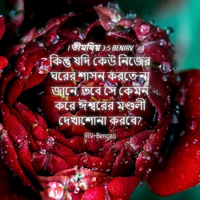 Picture 04 - 1 তীমথিয় 3:5 BENIRV - কিন্তু যদি কেউ - Bible Verse Picture