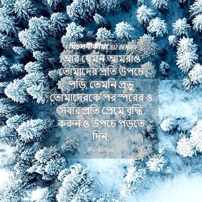 Picture 04 - 1 থিচলনীকীয়া 3:12 BENIRV - আর যেমন আমরাও - Bible Verse Picture