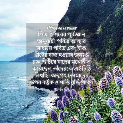 Picture 04 - 1 পিতরের 1:2 BENIRV - পিতা ঈশ্বরের - Bible Verse Picture