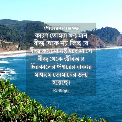 Picture 04 - 1 পিতরের 1:23 BENIRV - কারণ তোমরা - Bible Verse Picture