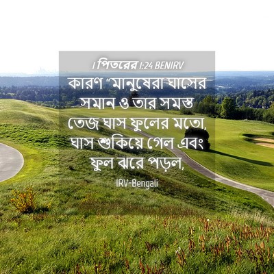 Picture 04 - 1 পিতরের 1:24 BENIRV - কারণ “মানুষেরা - Bible Verse Picture