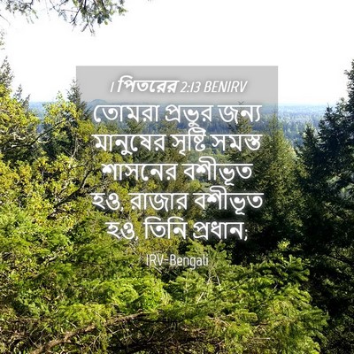 Picture 04 - 1 পিতরের 2:13 BENIRV - তোমরা প্রভুর জন্য - Bible Verse Picture