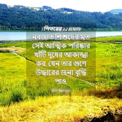 Picture 04 - 1 পিতরের 2:2 BENIRV - নবজাত শিশুদের মত - Bible Verse Picture