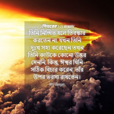 Picture 04 - 1 পিতরের 2:23 BENIRV - তিনি নিন্দিত হলে - Bible Verse Picture