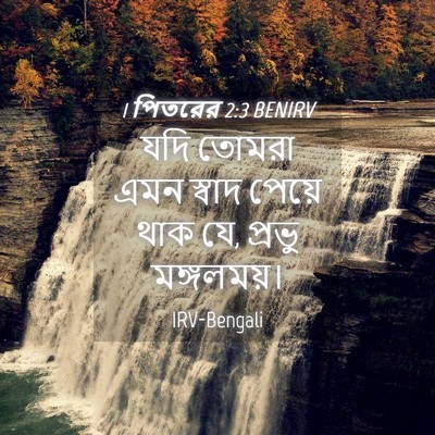 Picture 04 - 1 পিতরের 2:3 BENIRV - যদি তোমরা এমন - Bible Verse Picture