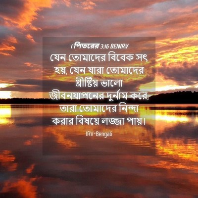 Picture 04 - 1 পিতরের 3:16 BENIRV - যেন তোমাদের বিবেক - Bible Verse Picture