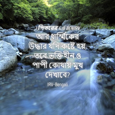 Picture 04 - 1 পিতরের 4:18 BENIRV - আর ধার্ম্মিকের - Bible Verse Picture