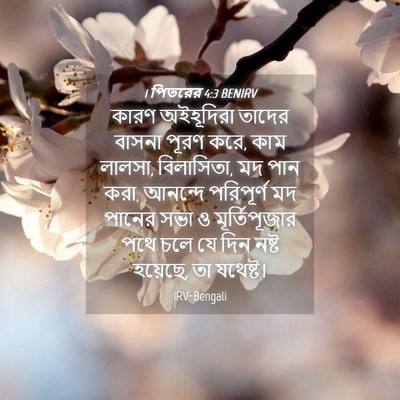 Picture 04 - 1 পিতরের 4:3 BENIRV - কারণ অইহূদিরা - Bible Verse Picture