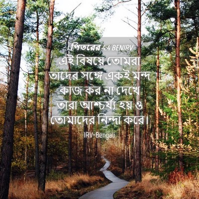 Picture 04 - 1 পিতরের 4:4 BENIRV - এই বিষয়ে তোমরা - Bible Verse Picture
