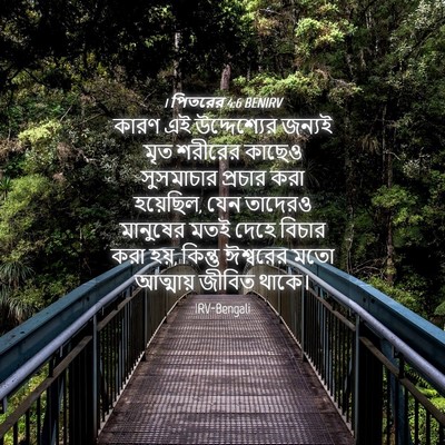 Picture 04 - 1 পিতরের 4:6 BENIRV - কারণ এই - Bible Verse Picture