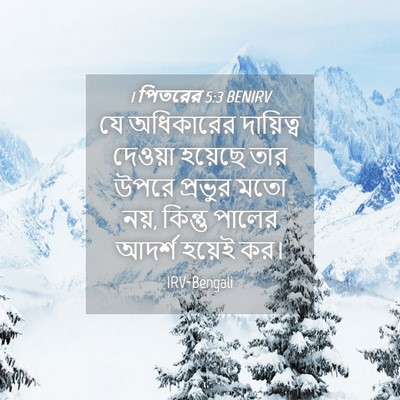 Picture 04 - 1 পিতরের 5:3 BENIRV - যে অধিকারের - Bible Verse Picture