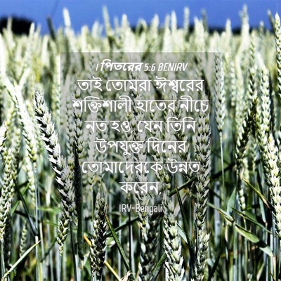 Picture 04 - 1 পিতরের 5:6 BENIRV - তাই তোমরা ঈশ্বরের - Bible Verse Picture