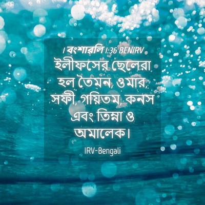 Picture 04 - 1 বংশাৱলি 1:36 BENIRV - ইলীফসের ছেলেরা হল - Bible Verse Picture