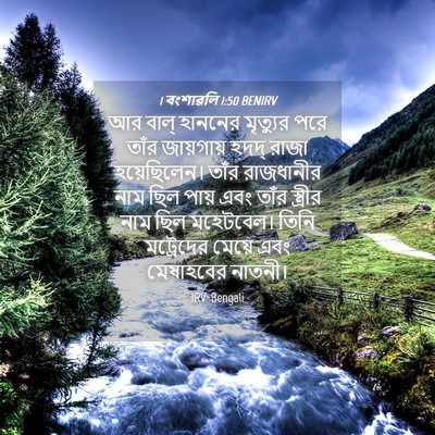 Picture 04 - 1 বংশাৱলি 1:50 BENIRV - আর বাল্‌ হাননের - Bible Verse Picture