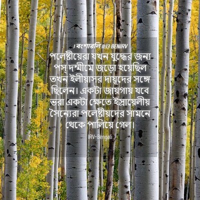 Picture 04 - 1 বংশাৱলি 11:13 BENIRV - পলেষ্টীয়েরা যখন - Bible Verse Picture