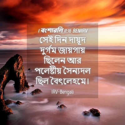 Picture 04 - 1 বংশাৱলি 11:16 BENIRV - সেই দিন দায়ূদ - Bible Verse Picture