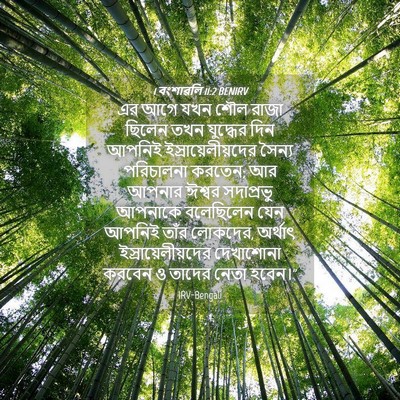 Picture 04 - 1 বংশাৱলি 11:2 BENIRV - এর আগে যখন শৌল রাজা - Bible Verse Picture