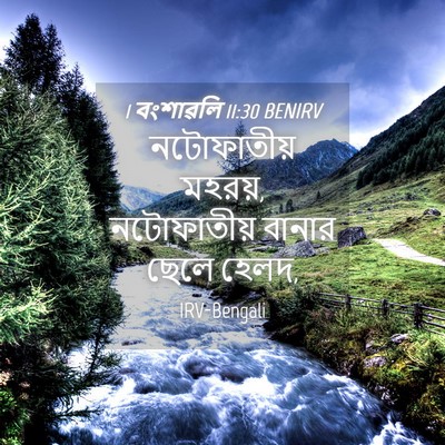 Picture 04 - 1 বংশাৱলি 11:30 BENIRV - নটোফাতীয় মহরয়, - Bible Verse Picture