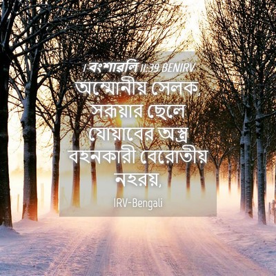 Picture 04 - 1 বংশাৱলি 11:39 BENIRV - অম্মোনীয় সেলক, - Bible Verse Picture
