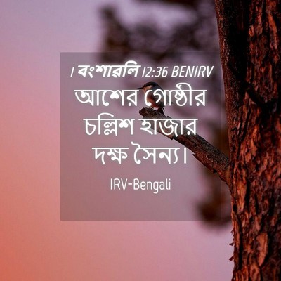 Picture 04 - 1 বংশাৱলি 12:36 BENIRV - আশের গোষ্ঠীর - Bible Verse Picture