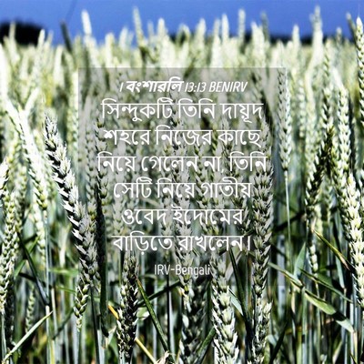 Picture 04 - 1 বংশাৱলি 13:13 BENIRV - সিন্দুকটি তিনি - Bible Verse Picture