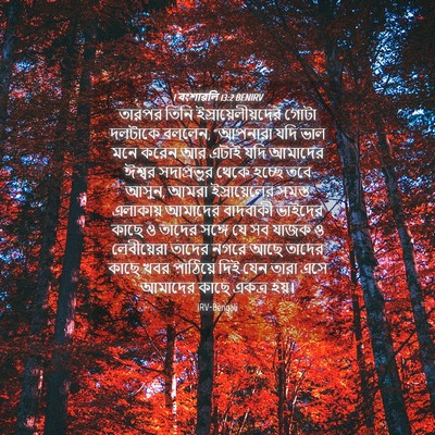 Picture 04 - 1 বংশাৱলি 13:2 BENIRV - তারপর তিনি - Bible Verse Picture