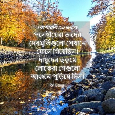 Picture 04 - 1 বংশাৱলি 14:12 BENIRV - পলেষ্টীয়েরা - Bible Verse Picture