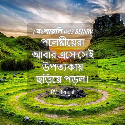 Picture 04 - 1 বংশাৱলি 14:13 BENIRV - পলেষ্টীয়েরা আবার - Bible Verse Picture
