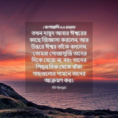 Picture 04 - 1 বংশাৱলি 14:14 BENIRV - তখন দায়ূদ আবার - Bible Verse Picture
