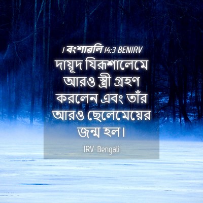 Picture 04 - 1 বংশাৱলি 14:3 BENIRV - দায়ূদ যিরূশালেমে - Bible Verse Picture