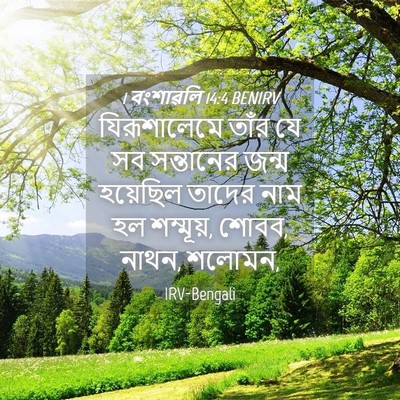 Picture 04 - 1 বংশাৱলি 14:4 BENIRV - যিরূশালেমে তাঁর - Bible Verse Picture