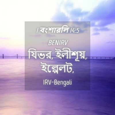 Picture 04 - 1 বংশাৱলি 14:5 BENIRV - যিভর, ইলীশূয়, - Bible Verse Picture