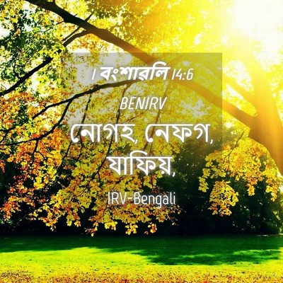Picture 04 - 1 বংশাৱলি 14:6 BENIRV - নোগহ, নেফগ, - Bible Verse Picture