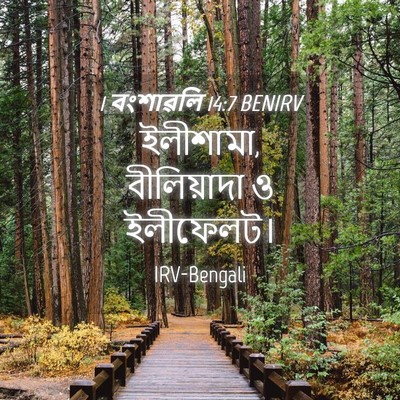 Picture 04 - 1 বংশাৱলি 14:7 BENIRV - ইলীশামা, - Bible Verse Picture